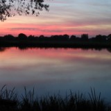 0309F 71 Marschlandschaft